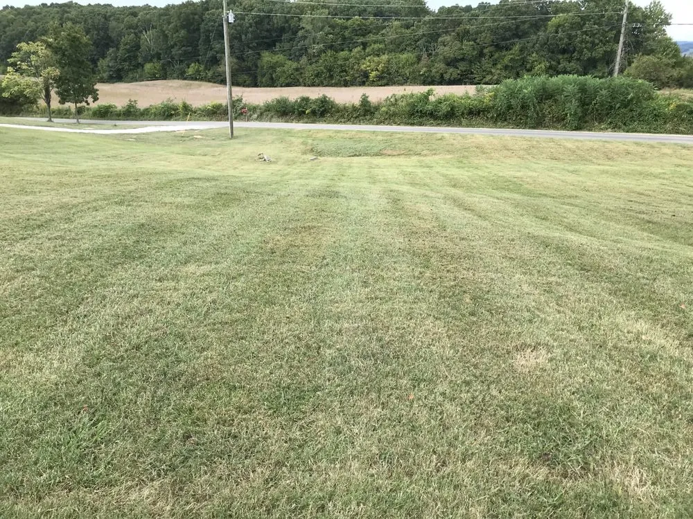 Local landscape design for year-round maintenance in Jefferson City, TN by Family Forever Lawn Care