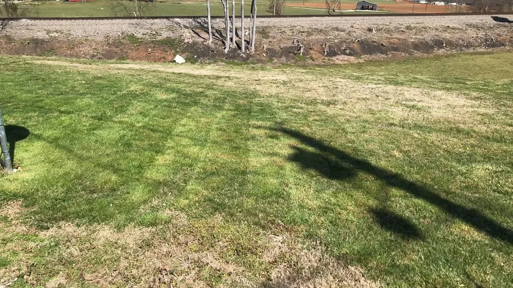 Professional yard maintenance in Jefferson City, TN - Family Forever Lawn Care
