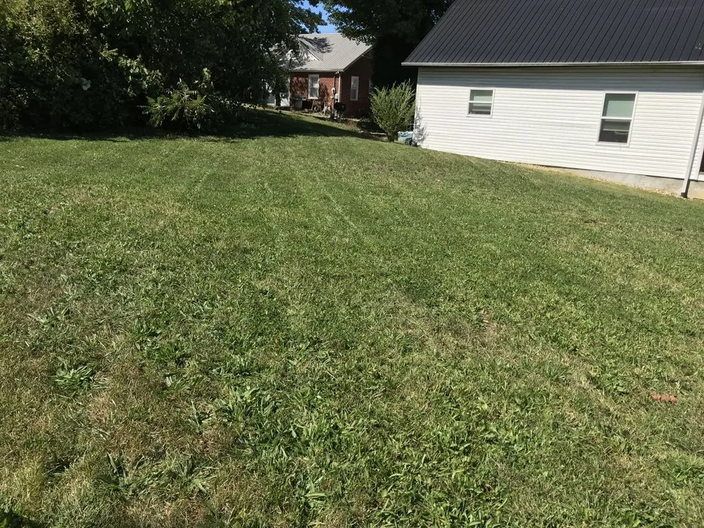 Expert yard cleanup service in Jefferson City, TN - Family Forever Lawn Care