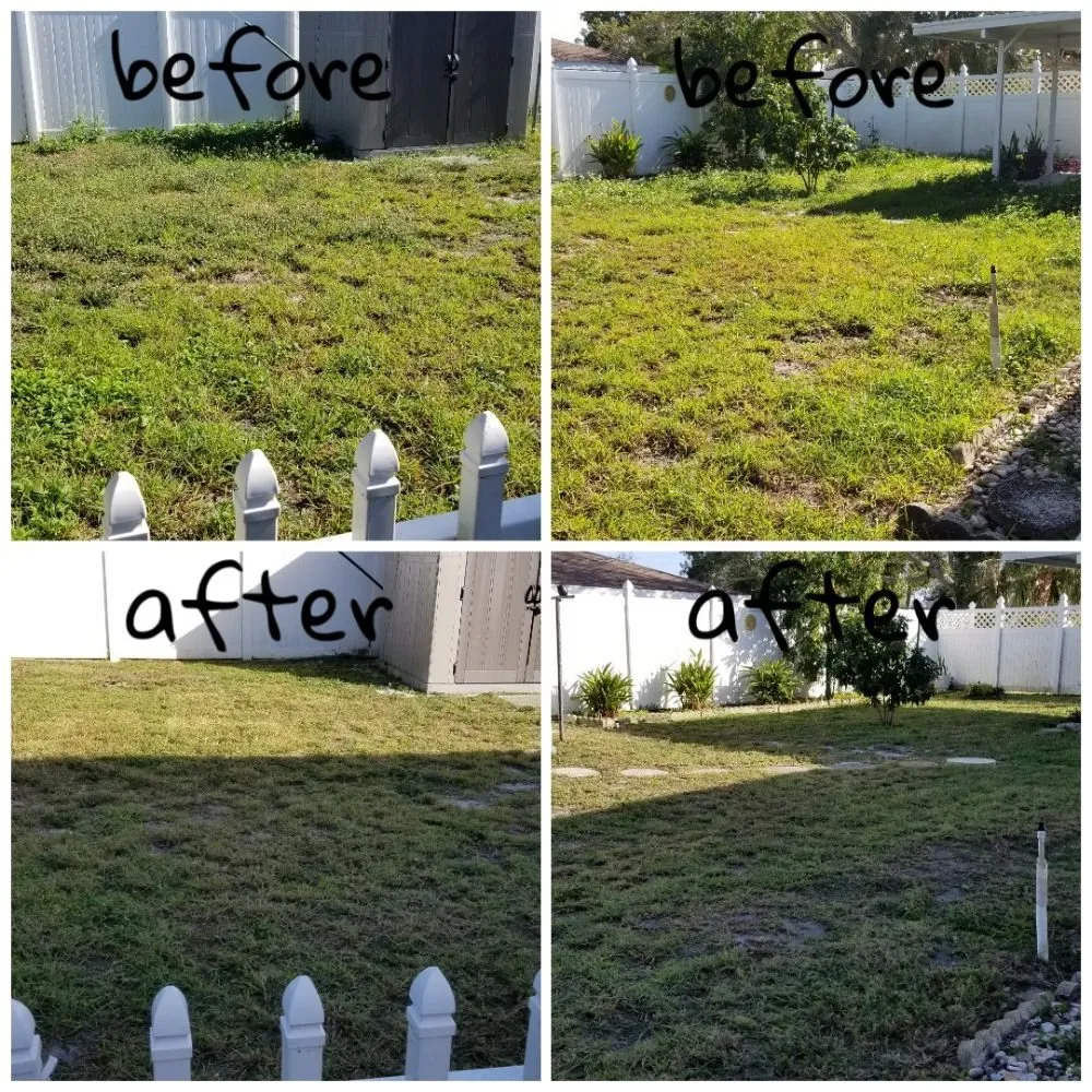 Reliable lawn mowing service with custom design in Bradenton, FL by Family Friendly Lawn Care