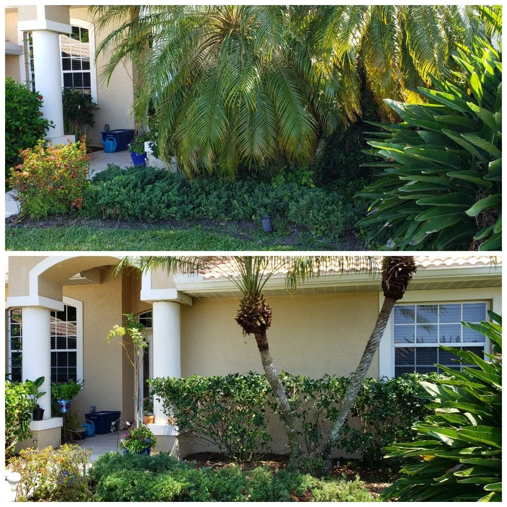 Expert outdoor landscaping near you across Bradenton, FL - Family Friendly Lawn Care