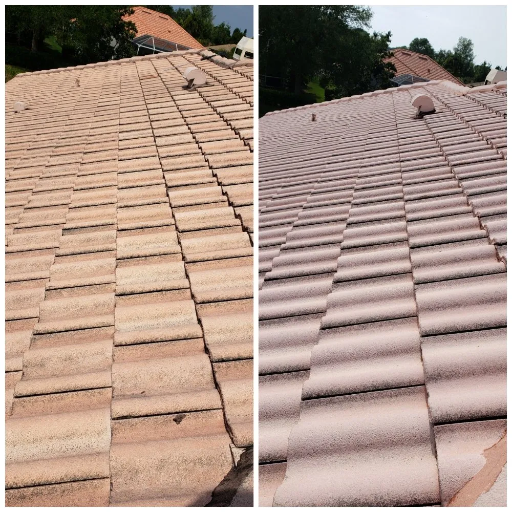 Custom lawn care service in Bradenton, FL by Family Friendly Lawn Care