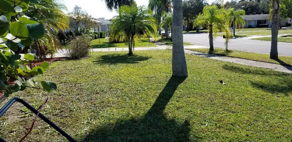 Affordable residential landscaping near you across Bradenton, FL - Family Friendly Lawn Care