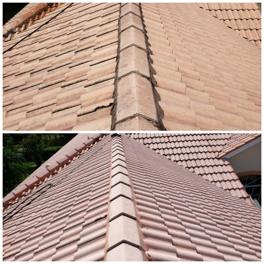 Trusted lawn mowing service with custom design across Bradenton, FL - Family Friendly Lawn Care