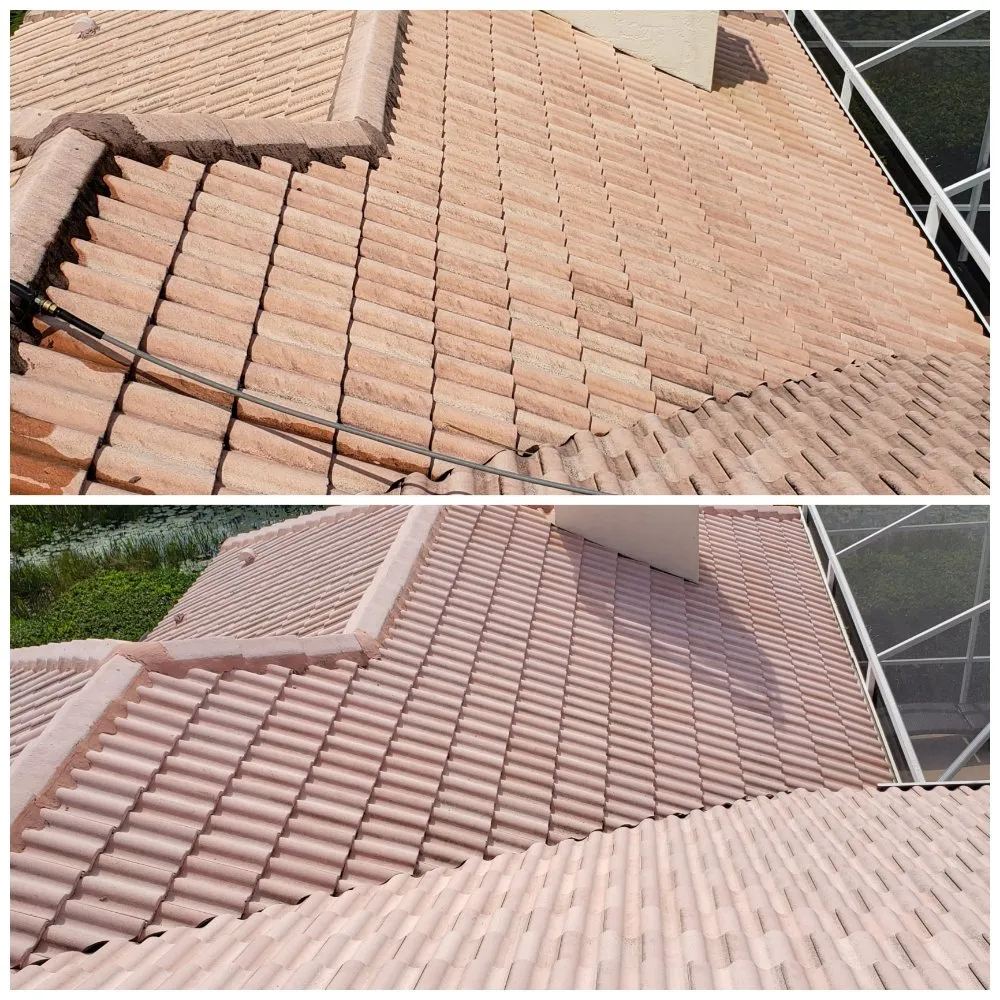 Professional landscaping services experts serving Bradenton, FL - Family Friendly Lawn Care