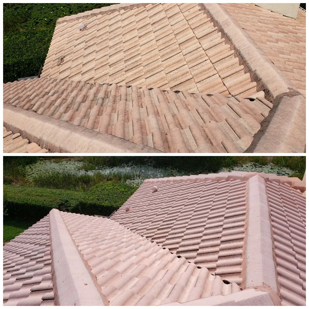 Custom yard maintenance in Bradenton, FL - Family Friendly Lawn Care