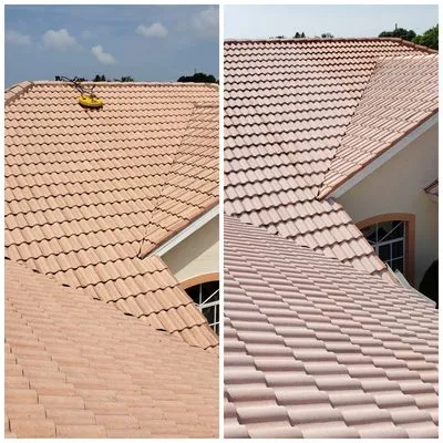 Family Friendly Lawn Care Logo