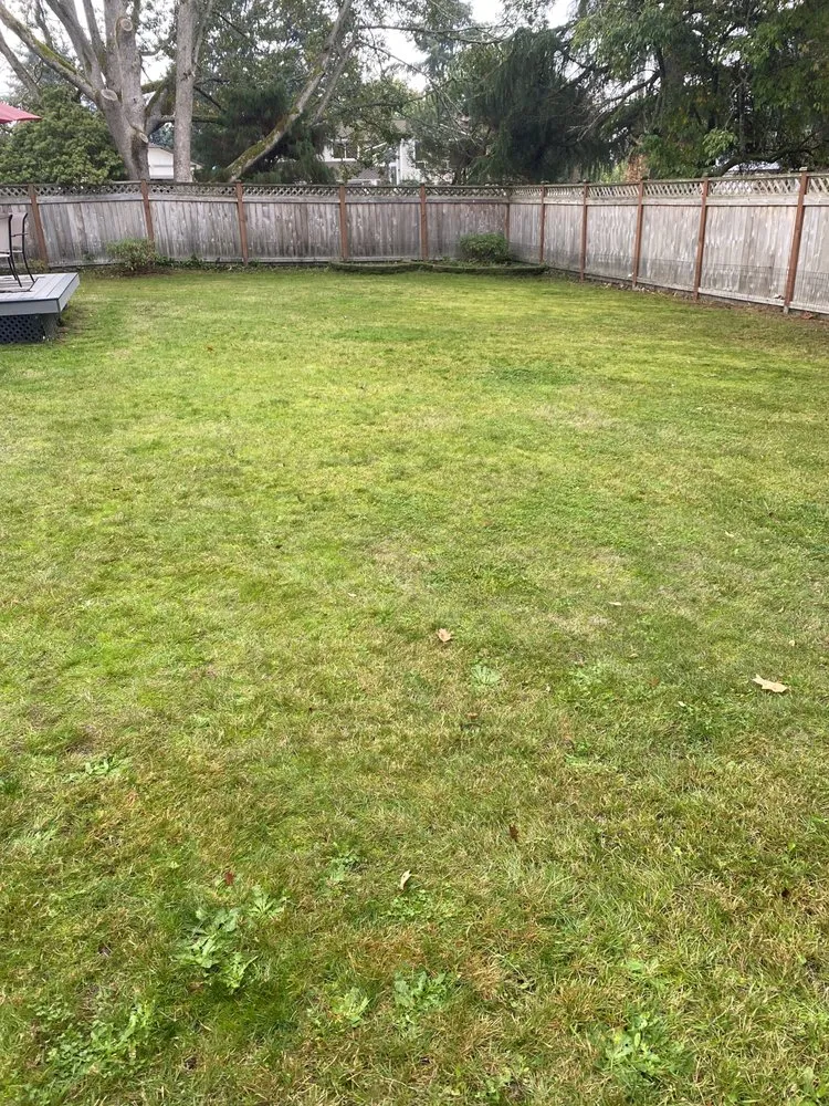 Trusted landscaping services in Lakewood, WA by Family General Construction