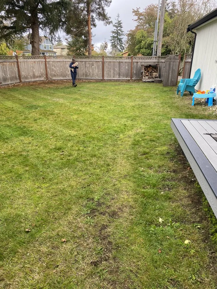 Trusted lawn care service for outdoor upgrades in Lakewood, WA by Family General Construction