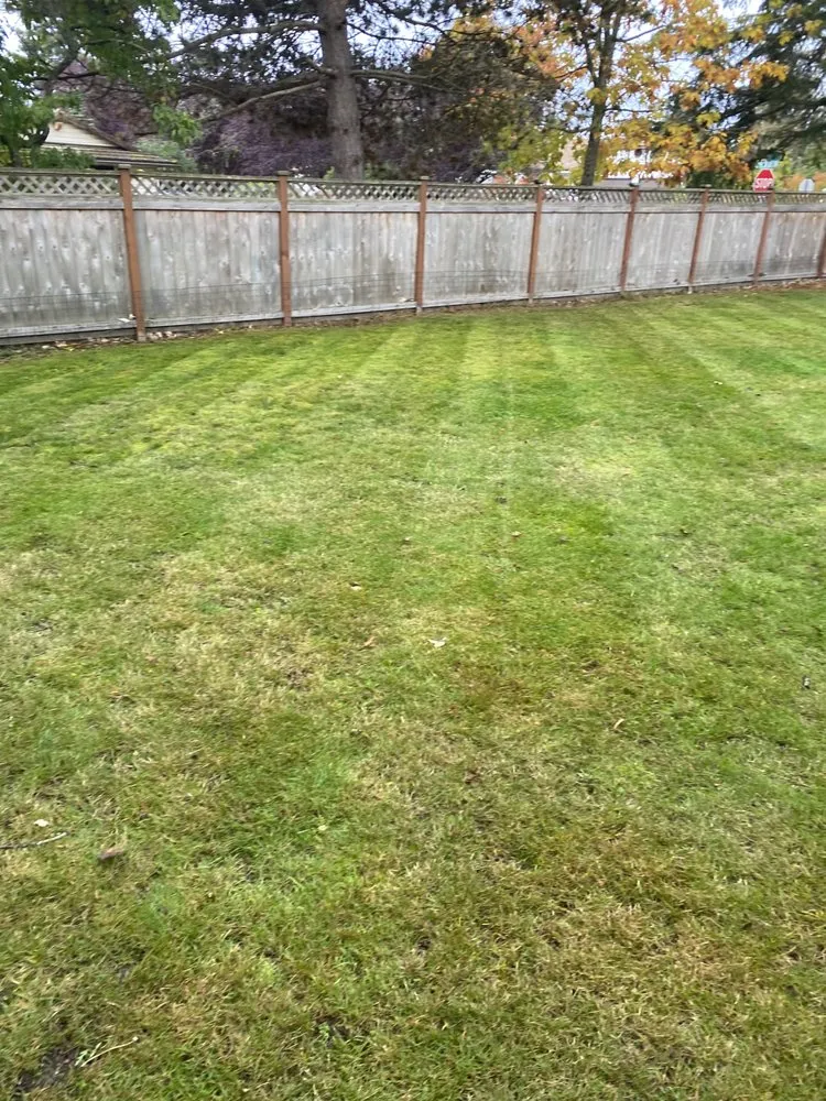 Local lawn care service for year-round maintenance across Lakewood, WA - Family General Construction