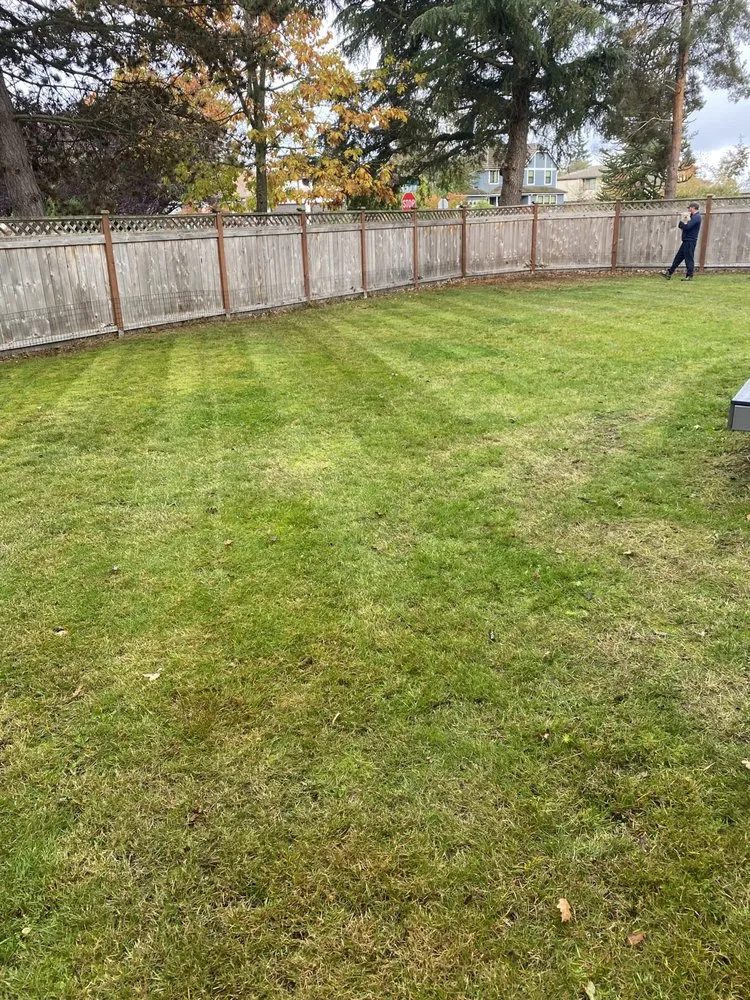 Affordable outdoor landscaping in Lakewood, WA by Family General Construction