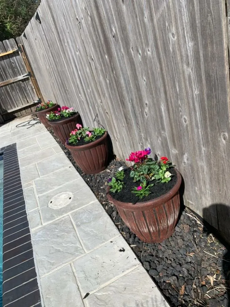 Trusted garden landscaping for beautiful yards in Houston, TX by Family Greenscape