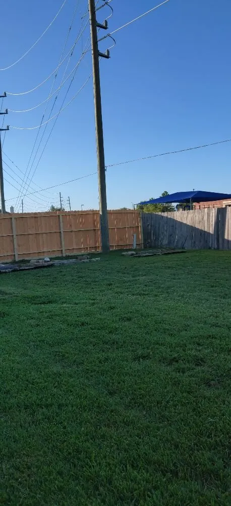 Professional landscaping services for outdoor upgrades in Houston, TX by Family Greenscape