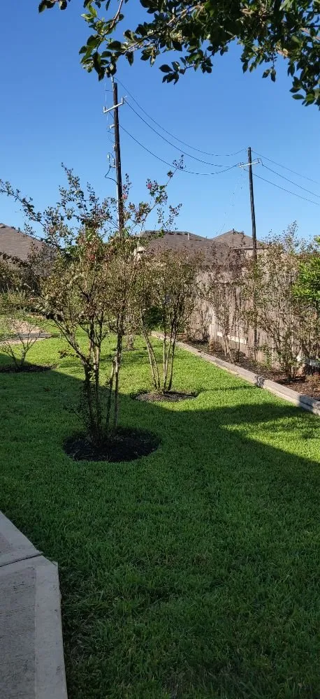 Custom outdoor landscaping near you across Houston, TX - Family Greenscape
