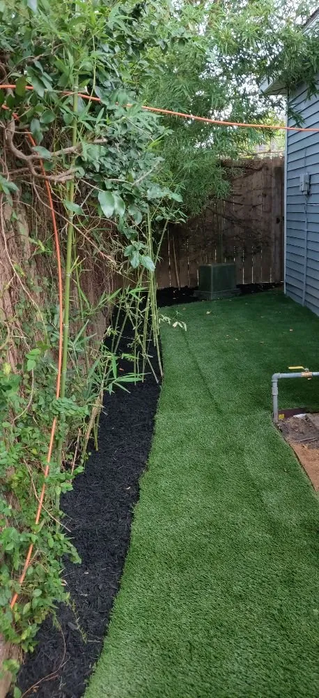 Reliable lawn care service in Houston, TX by Family Greenscape