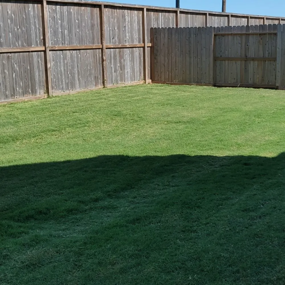 Affordable landscape design in Houston, TX by Family Greenscape