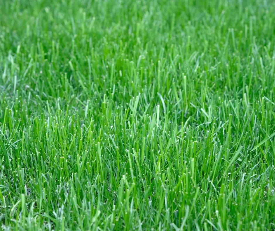 Trusted garden landscaping in Detroit, MI by Family Grind Landscaping