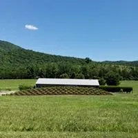 Local outdoor landscaping in Blacksburg, VA - Family Land and Lawn Care