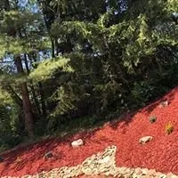 Expert lawn mowing service for year-round maintenance in Blacksburg, VA by Family Land and Lawn Care