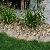 Reliable yard cleanup service in Blacksburg, VA - Family Land and Lawn Care