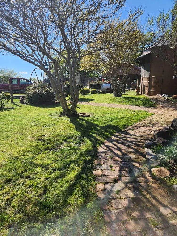 Expert yard cleanup service in Mesquite, TX - Family Land Services