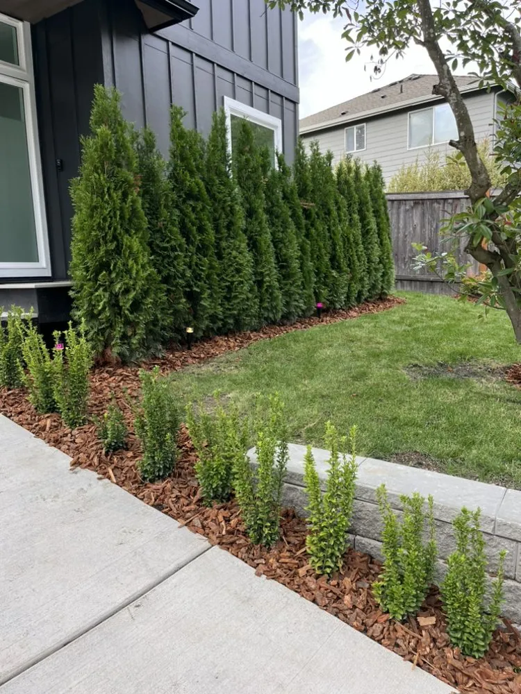 Affordable yard maintenance for homes across Lynnwood, WA - Family Landscape and Irrigation