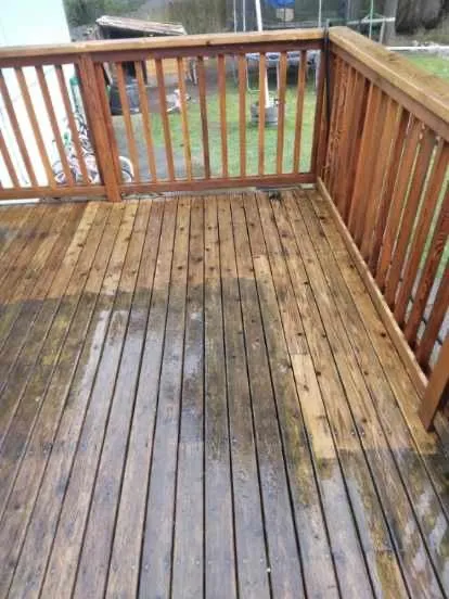 Expert yard cleanup service in Lynnwood, WA by Family Landscape and Irrigation