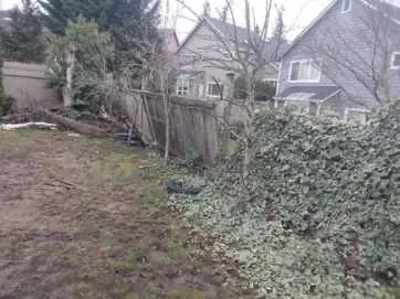 Expert landscaping services experts serving Lynnwood, WA - Family Landscape and Irrigation