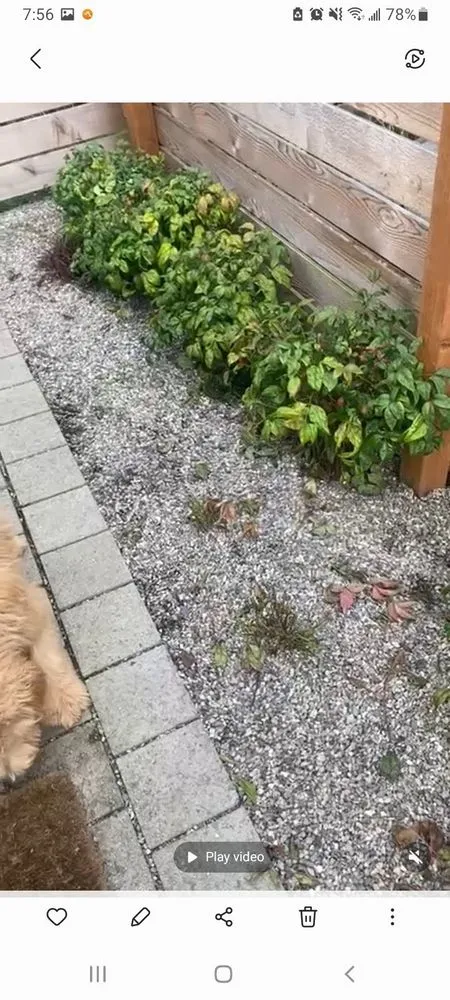 Affordable lawn mowing service near you across Lynnwood, WA - Family Landscape and Irrigation