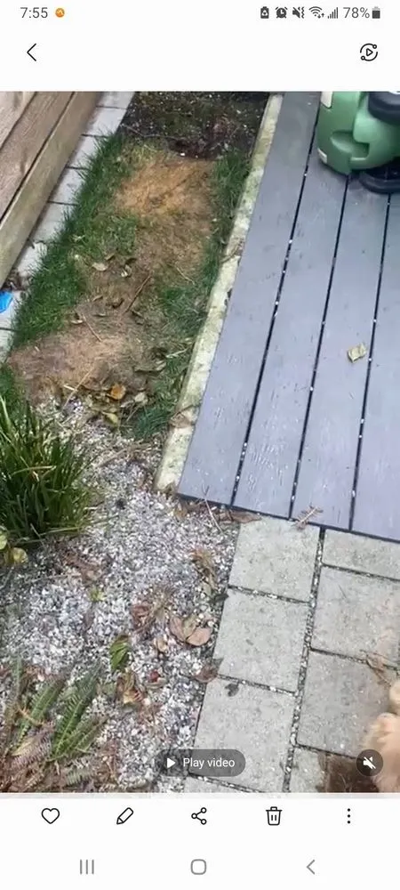 Affordable garden landscaping for residential properties in Lynnwood, WA by Family Landscape and Irrigation