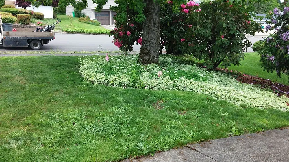 Top-rated landscape installation in Aurora, OR - Family Landscape Maintenance