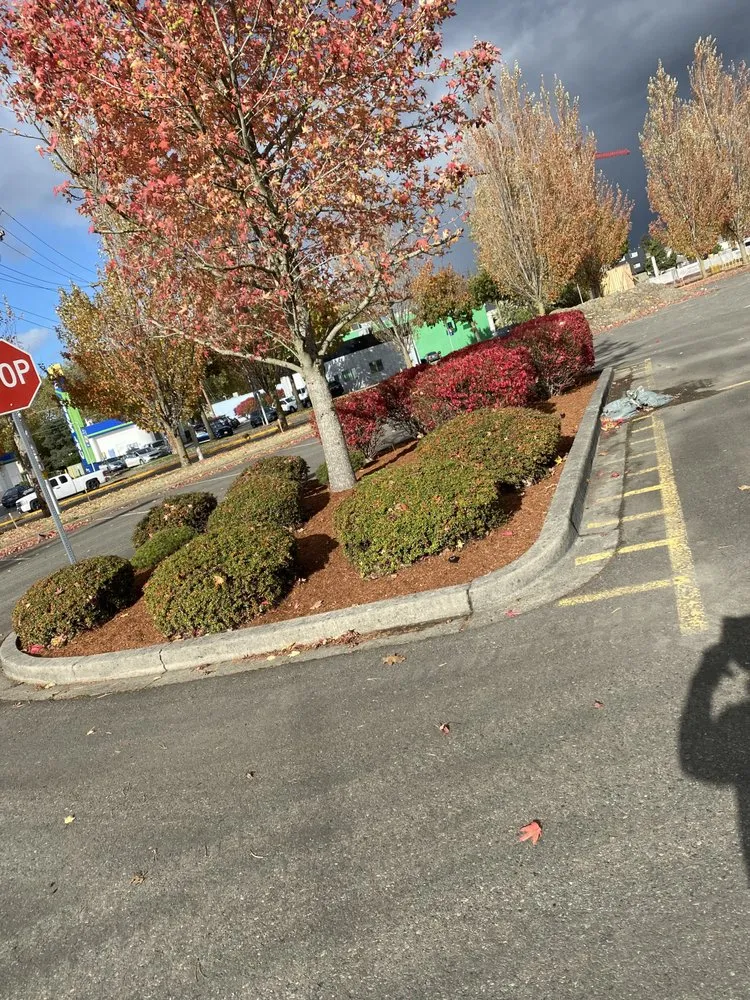 Local yard cleanup service for residential properties in Auburn, WA by Family Landscaping & Irrigation