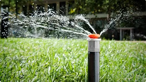 Trusted yard cleanup service experts serving Auburn, WA - Family Landscaping & Irrigation