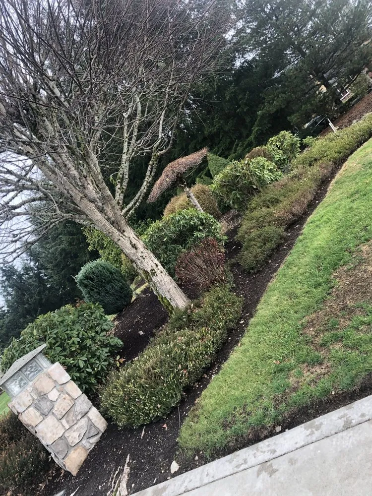 Professional outdoor landscaping for year-round maintenance across Auburn, WA - Family Landscaping & Irrigation