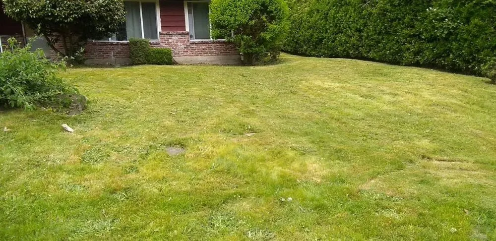 Local lawn mowing service experts serving Auburn, WA - Family Landscaping & Irrigation