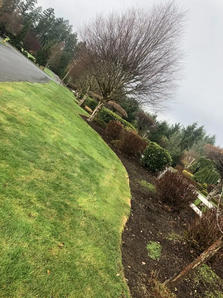 Professional residential landscaping in Auburn, WA by Family Landscaping & Irrigation