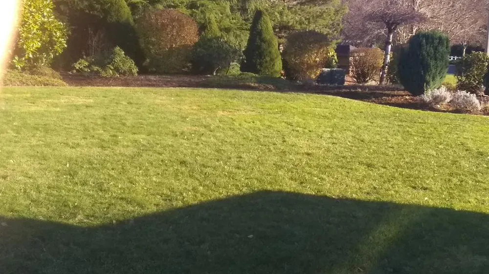 Reliable outdoor landscaping in Auburn, WA - Family Landscaping & Irrigation