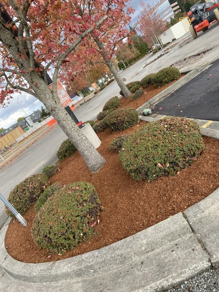 Affordable outdoor landscaping in Auburn, WA - Family Landscaping & Irrigation