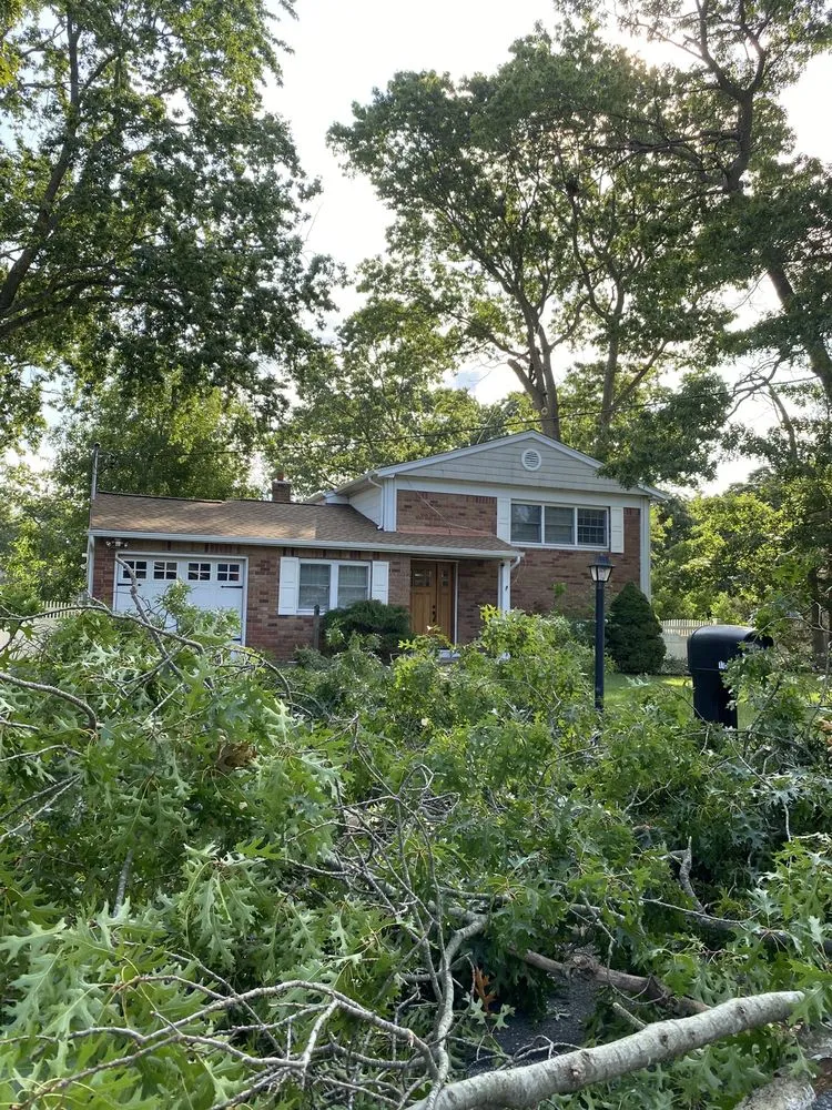 Reliable landscaping services for year-round maintenance across Melville, NY - Family Landscaping & Tree Care