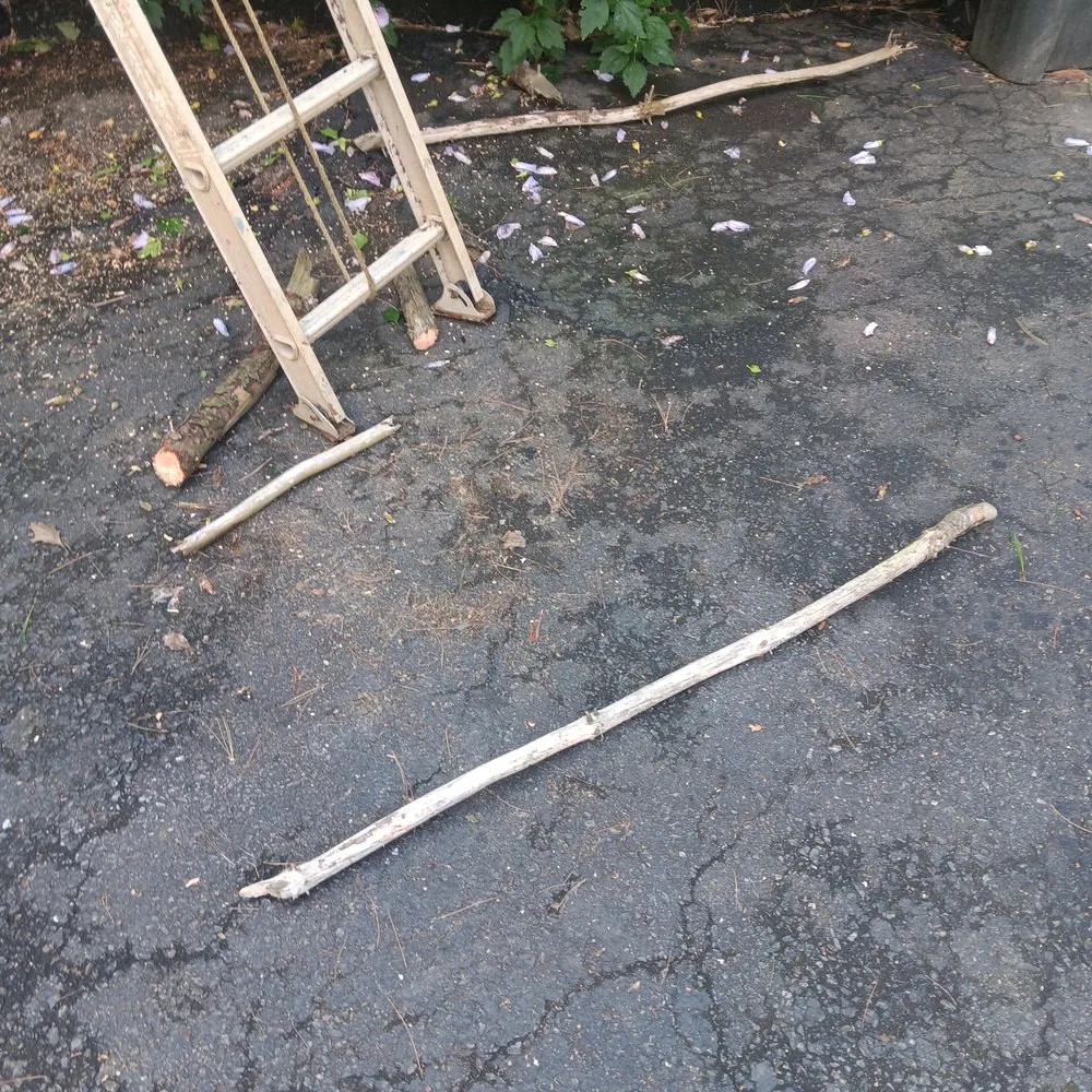 Expert outdoor landscaping in Lancaster, PA by Family Landscaping & Tree Service