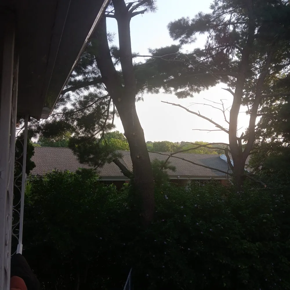 Local residential landscaping near you in Lancaster, PA by Family Landscaping & Tree Service