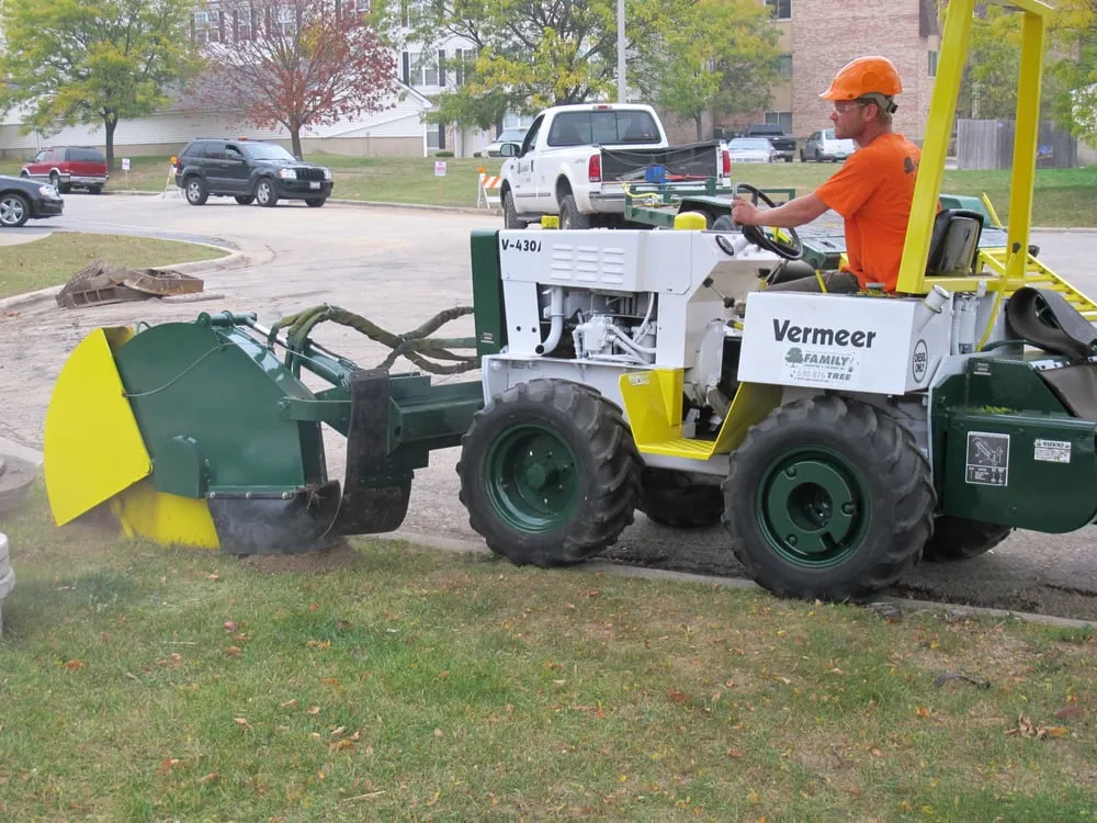 Custom landscape design for year-round maintenance in Naperville, IL by Family Landscaping & Treewerks