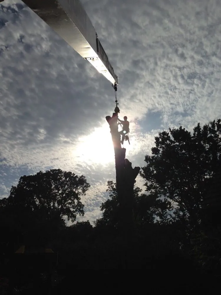 Reliable yard cleanup service in Naperville, IL by Family Landscaping & Treewerks