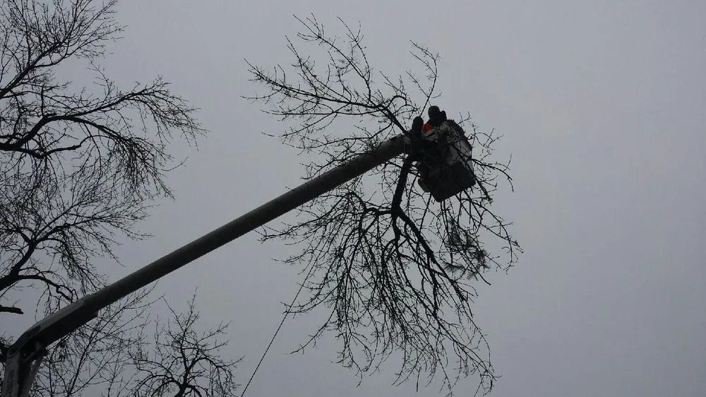 Professional landscape installation with custom design in Naperville, IL by Family Landscaping & Treewerks