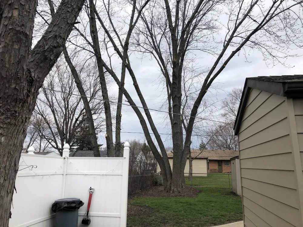 Local outdoor landscaping in Naperville, IL - Family Landscaping & Treewerks