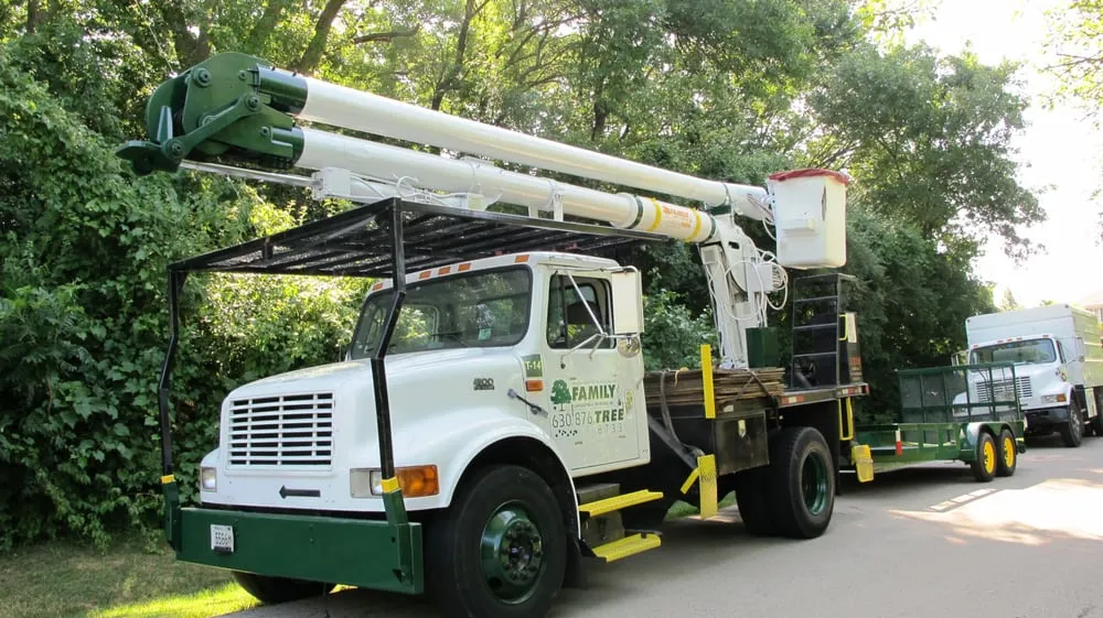 Trusted yard maintenance experts serving Naperville, IL - Family Landscaping & Treewerks