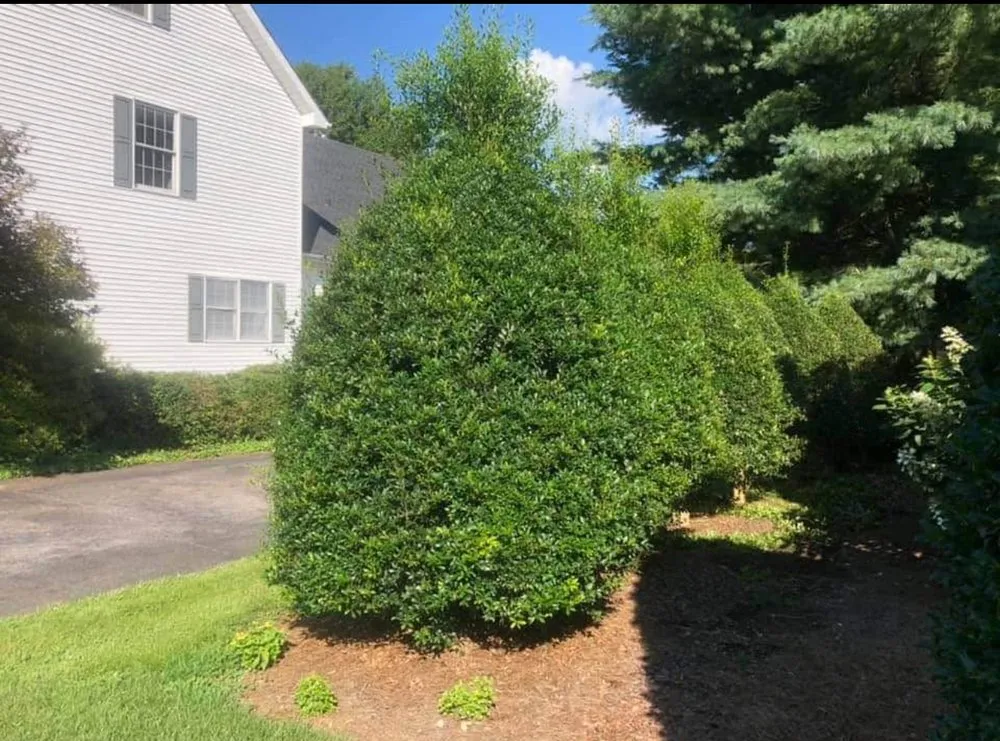 Trusted yard cleanup service in Acton, MA by Family Landscaping