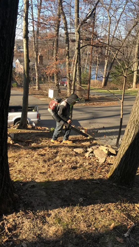 Affordable lawn care service for outdoor upgrades in Arlington, WA by Family Landscaping and Design