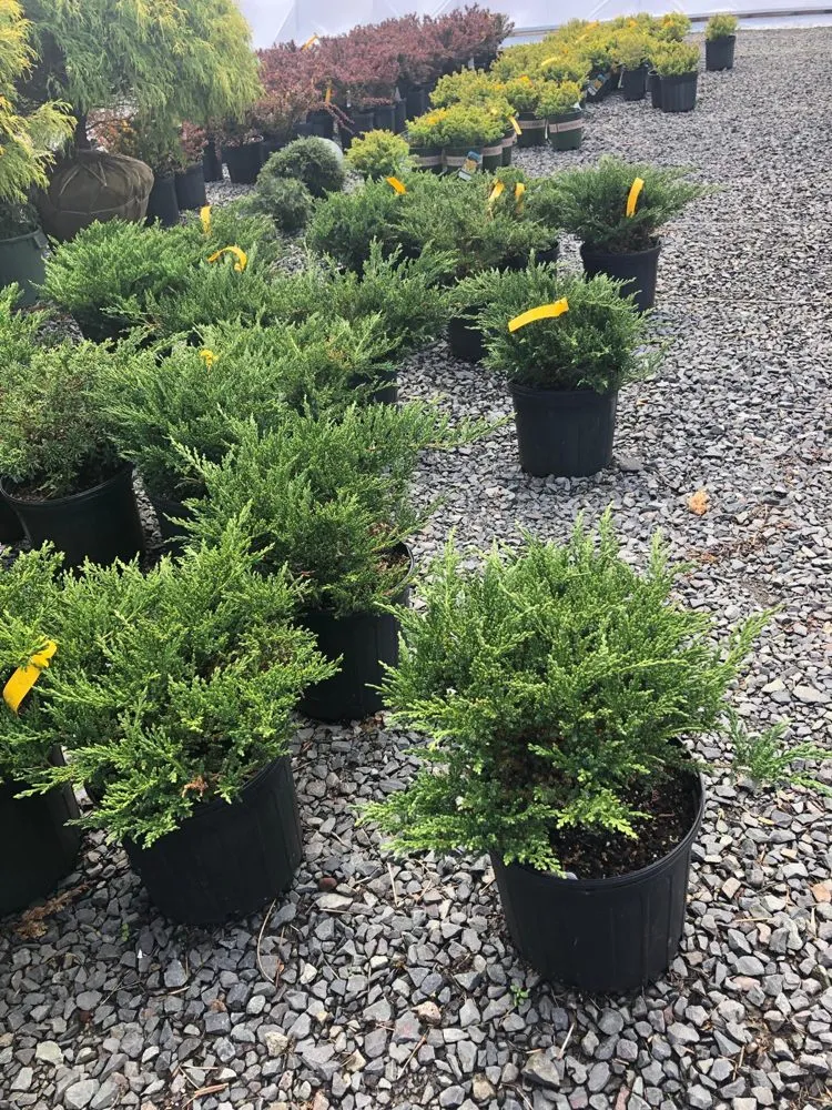 Trusted residential landscaping experts serving Belleville, NJ - Family Landscaping and Pavers