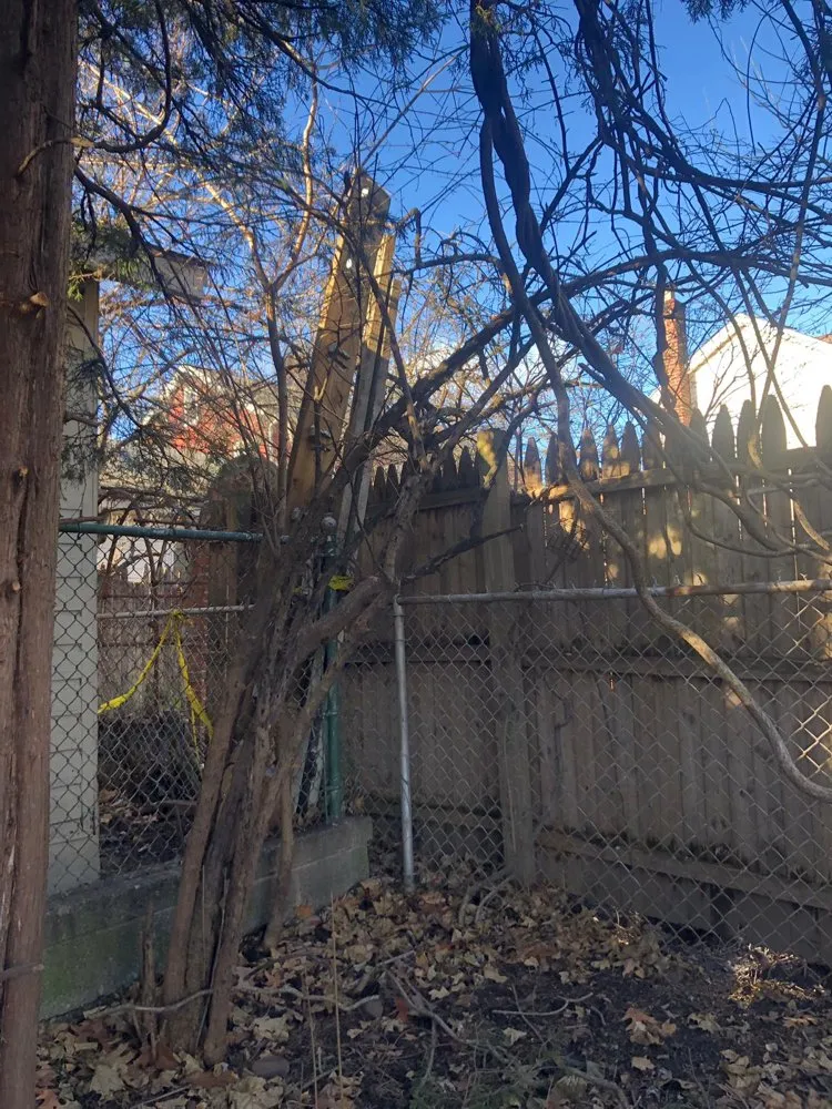 Professional lawn mowing service with custom design across Belleville, NJ - Family Landscaping and Pavers